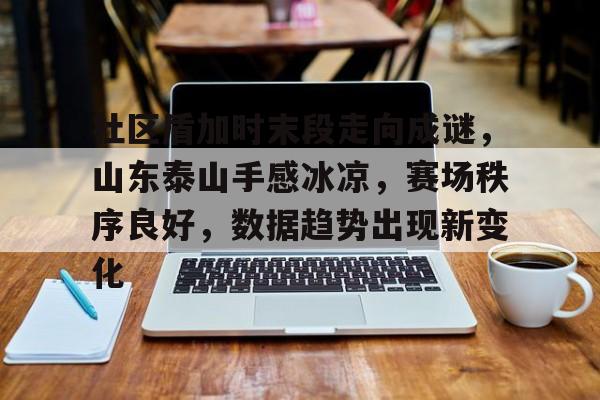 关于社区盾加时末段走向成谜，山东泰山手感冰凉，赛场秩序良好，数据趋势出现新变化的信息爱游体育官网